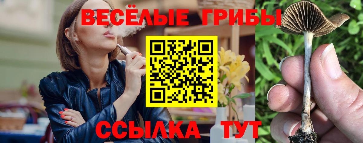 Галлюциногенные грибы мицелий Чистополь